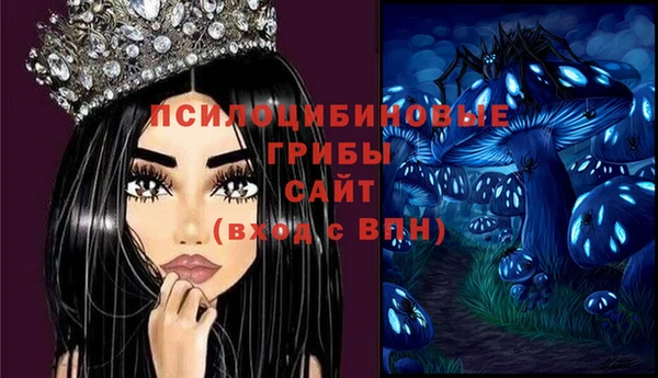 mdpv Алексин